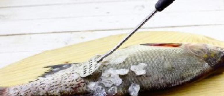 Как разделать рыбу: инструкция, рекомендации и полезные советы