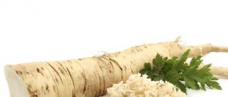 Horseradish - recipes for cooking at home, growing rules Cooking horseradish: important features