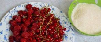 Redcurrant jelly for the winter - simple recipes What to make from redcurrants and raspberries