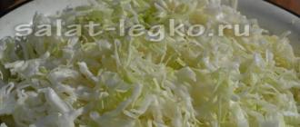 Cabbage salad with carrots like in the canteen - the best recipes from childhood