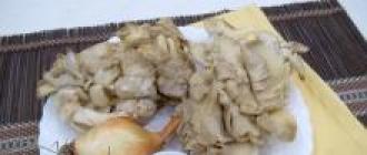 Гъби стриди в заквасена сметана в тиган и на фурна: с лук, картофи, свинско