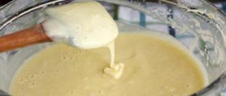 Kuchen „Honigkuchen“ mit Kefir Honigkuchen mit Kefir mit Pflaumen