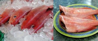 كيف لطهي حساء السمك الأحمر اللذيذ