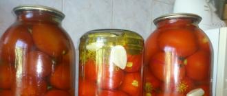 Yellow pickled tomatoes for the winter What to make from small yellow tomatoes