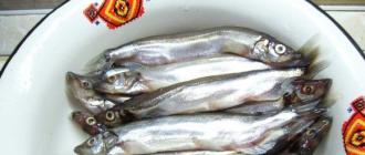 How to dry fish Salt capelin for drying at home
