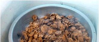 Kartoffelauflauf mit Hackfleisch im Slow Cooker – die leckersten Rezepte für ein herzhaftes Gericht