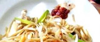 Kinesiske nudler med kylling Oppskrifter på kylling med kinesiske nudler