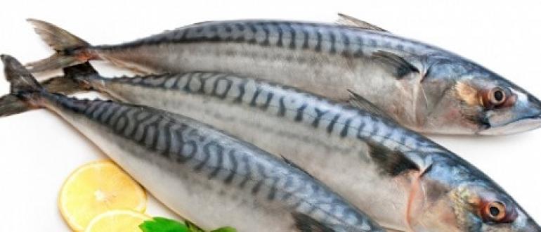 How to pickle fresh frozen mackerel
