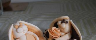 Фигурки от мастика: майсторски клас за начинаещи в декорирането на сладкиши