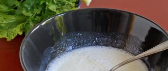 Kavkaški hičini: recepti po korakih za polnjene somune